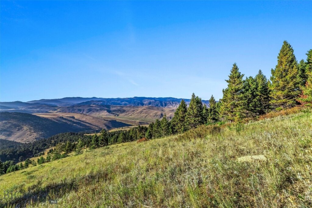 NHN Coyote (lot 69) Drive, Livingston MT 59047