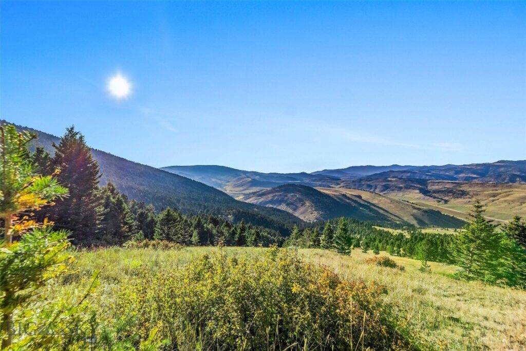 NHN Coyote (lot 69) Drive, Livingston MT 59047