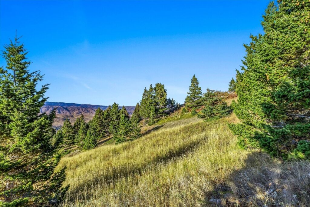 NHN Coyote (lot 69) Drive, Livingston MT 59047