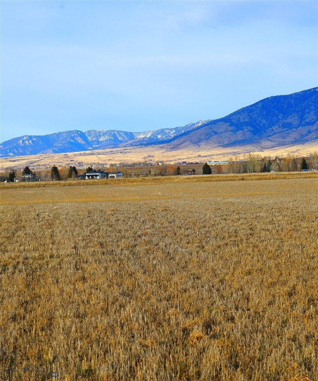 TBD Springhill, Belgrade MT 59714