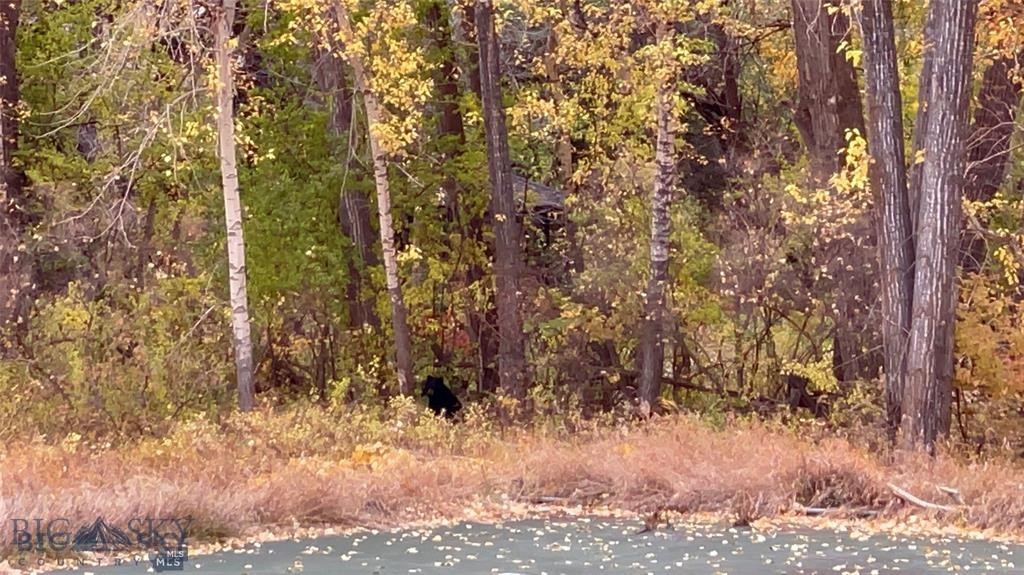 TBD Spring Creek Drive, Bozeman MT 59715