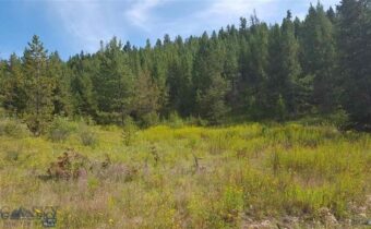 Tract 11 Mountain Moose Road, Bozeman MT 59715