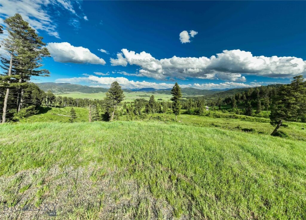 Ranch 11 North Pass Ranches, Bozeman MT 59715