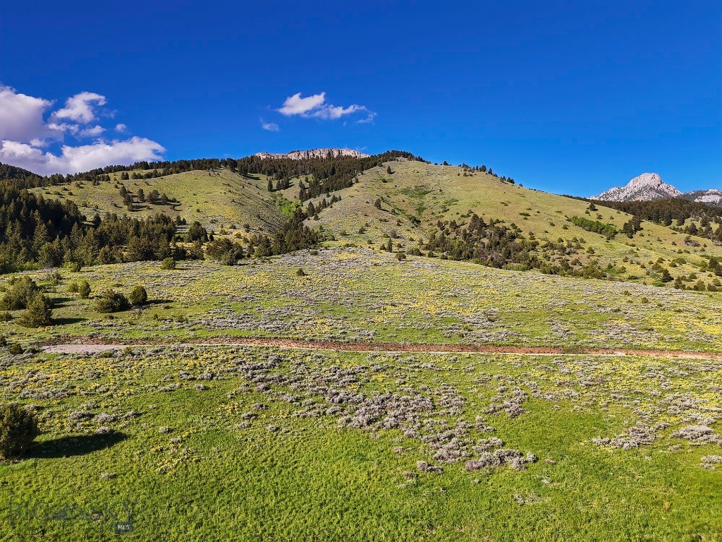 Springhill Vistas Ranch at Four Bar Ranches, Belgrade MT 59714