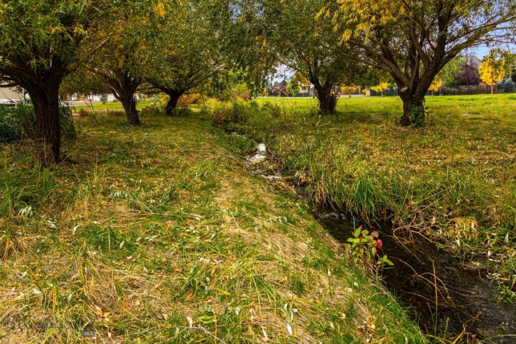 TBD 19th Avenue, Bozeman MT 59718