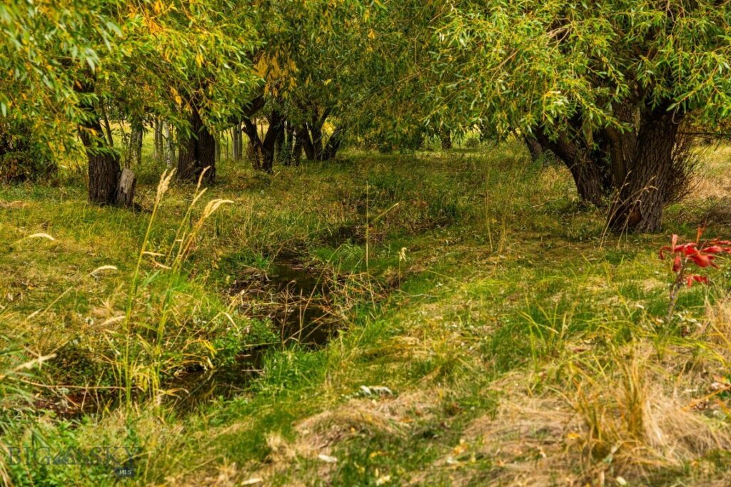 TBD 19th Avenue, Bozeman MT 59718