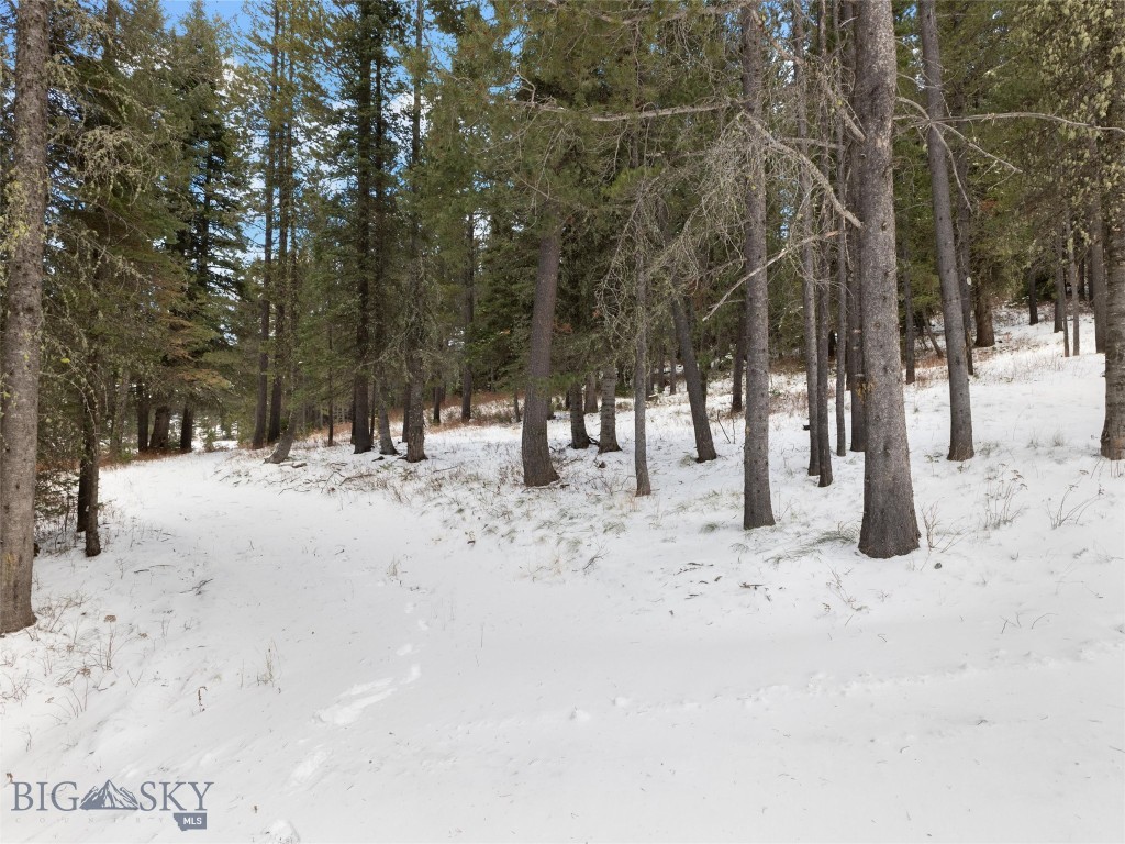 TBD Bridger Gully, Bozeman MT 59715