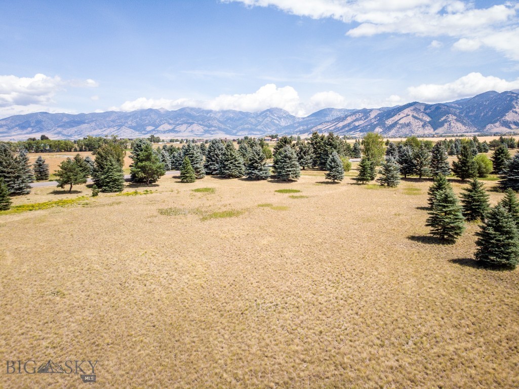 TBD Bridger Lake, Bozeman MT 59718