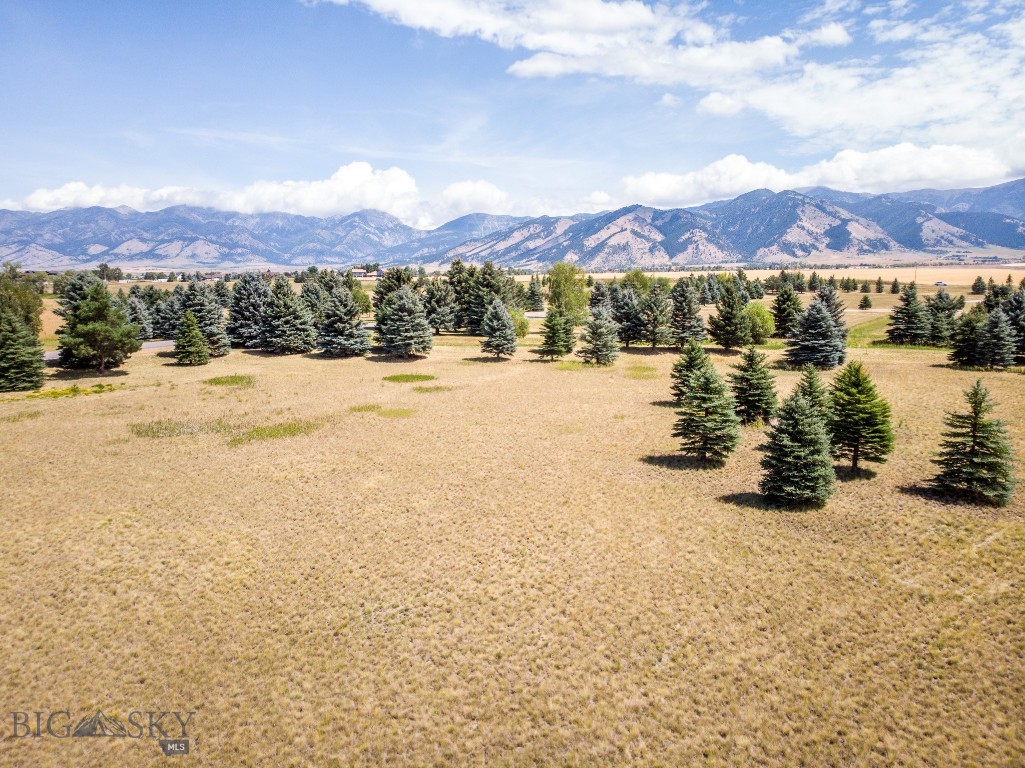 TBD Bridger Lake, Bozeman MT 59718