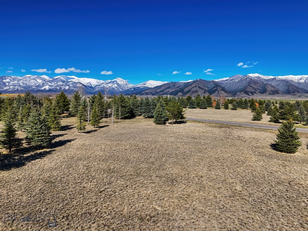 TBD Bridger Lake Drive, Bozeman MT 59718