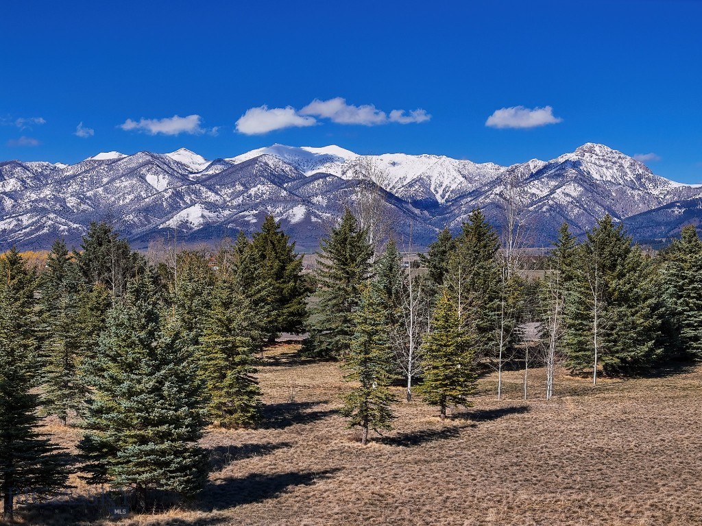 TBD Bridger Lake Drive, Bozeman MT 59718
