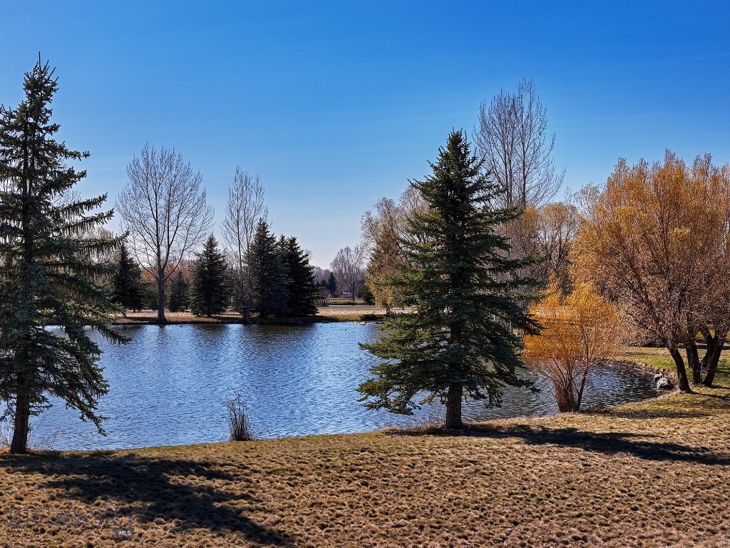 TBD Bridger Lake Drive, Bozeman MT 59718