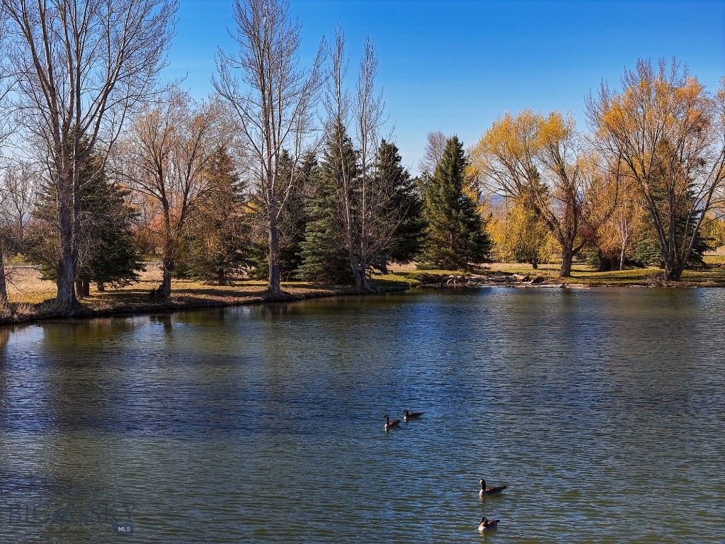 TBD Bridger Lake Drive, Bozeman MT 59718