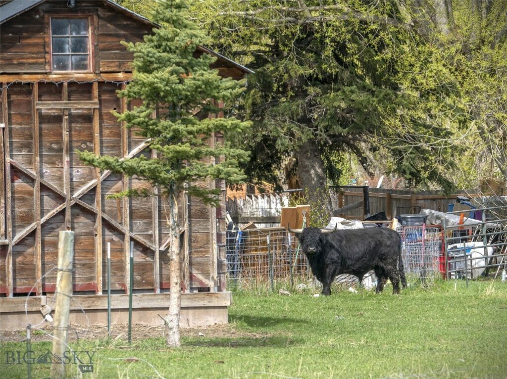 TBD Canyon View, Livingston MT 59047
