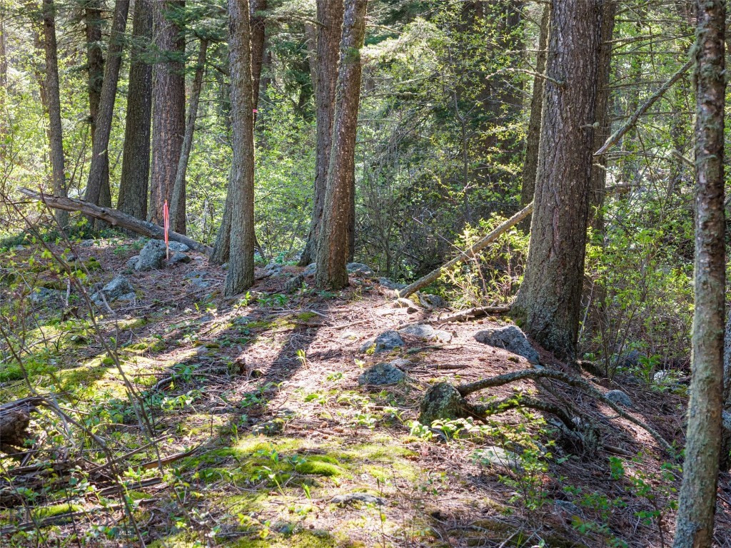 TBD Deep Creek Rd, Livingston MT 59047