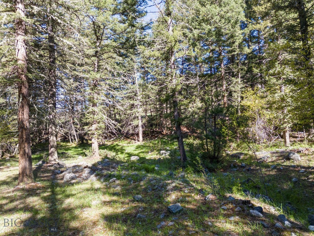 TBD Deep Creek Rd, Livingston MT 59047