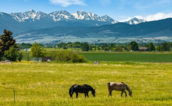 TBD Dovetail Lane, Bozeman MT 59715