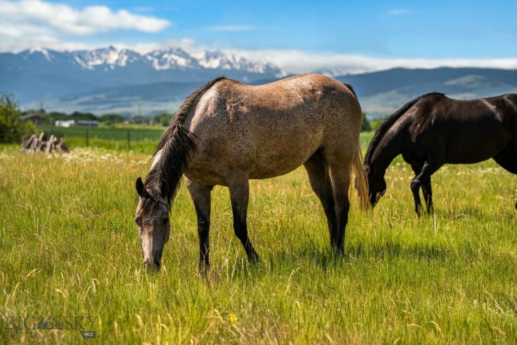 TBD Dovetail Lane, Bozeman MT 59715