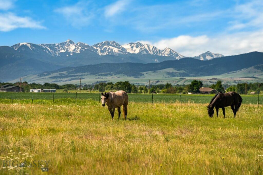 TBD Dovetail Lane, Bozeman MT 59715