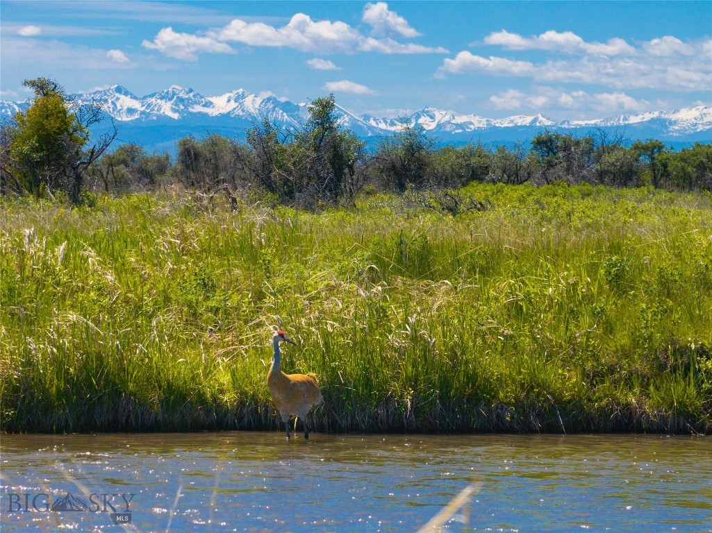 TBD Dry Creek Road, Belgrade MT 59714