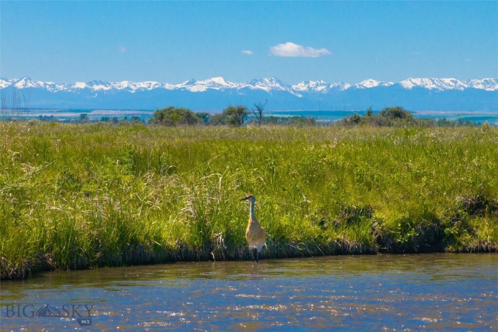 TBD Dry Creek Road, Belgrade MT 59714