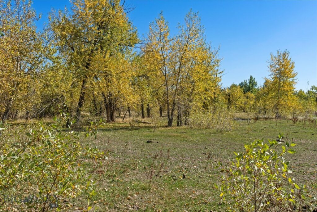 TBD Elk Lane, Bozeman MT 59718