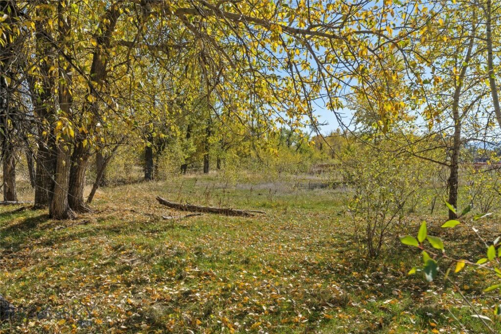 TBD Elk Lane, Bozeman MT 59718