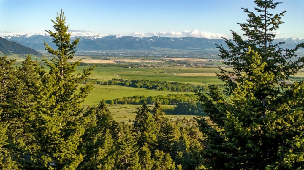 TBD Evan Reese Road, Belgrade MT 59714