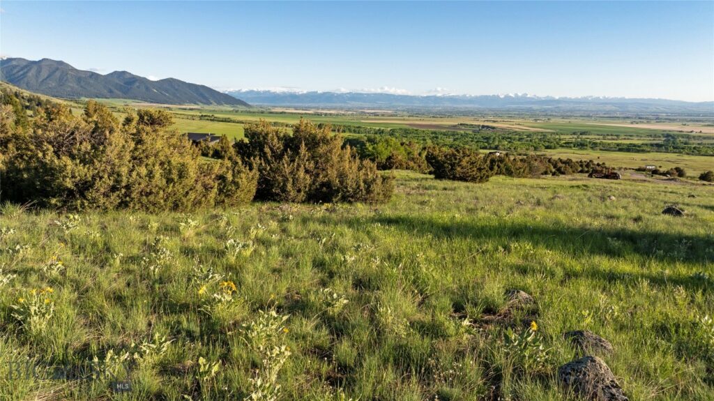 TBD Evan Reese Road, Belgrade MT 59714