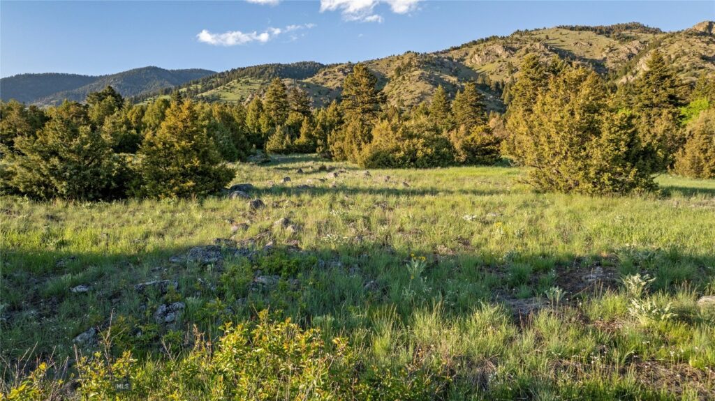 TBD Evan Reese Road, Belgrade MT 59714