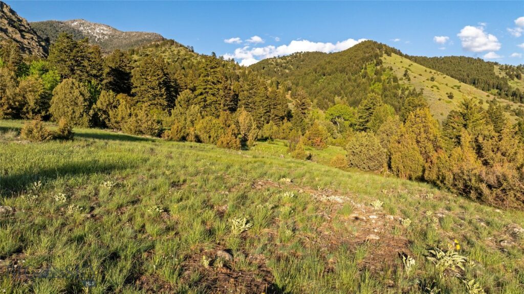 TBD Evan Reese Road, Belgrade MT 59714