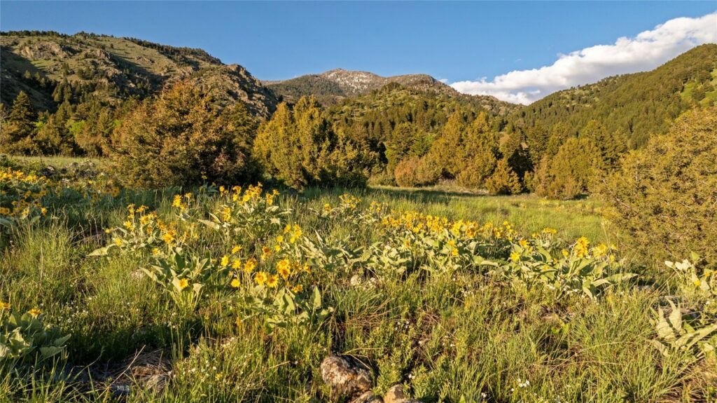 TBD Evan Reese Road, Belgrade MT 59714