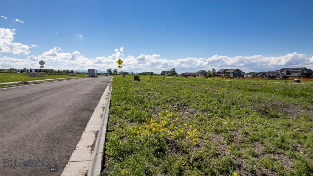 TBD Fallon Street, Bozeman MT 59715