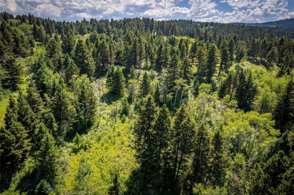 TBD Livingston Peak Road, Livingston MT 59047