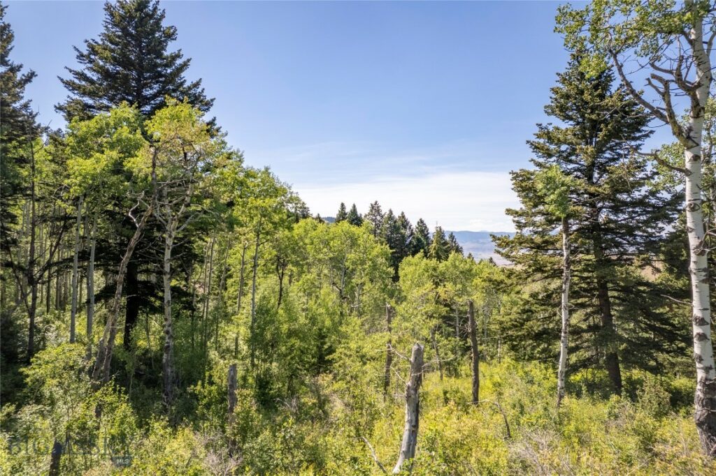 TBD Livingston Peak Road, Livingston MT 59047