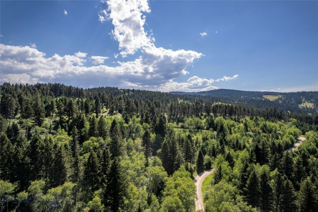 TBD Livingston Peak Road, Livingston MT 59047