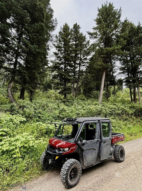 TBD Livingston Peak Road, Livingston MT 59047