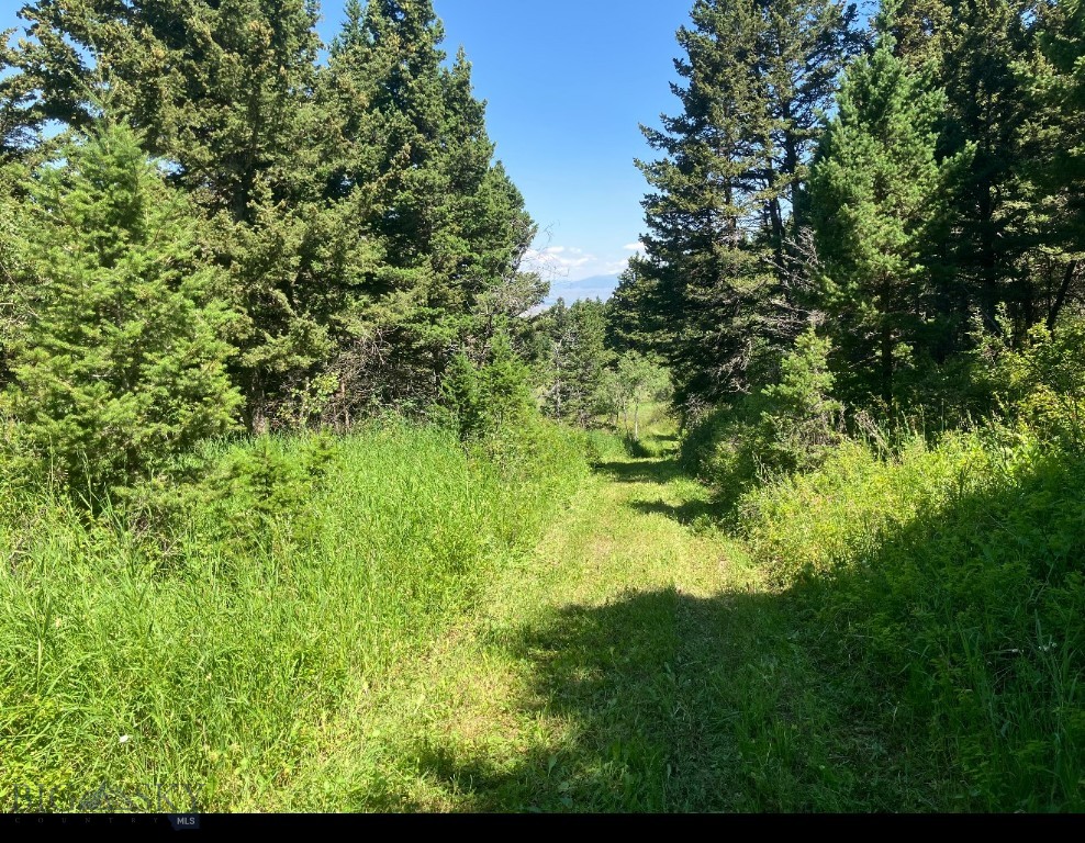 TBD Livingston Peak Road, Livingston MT 59047