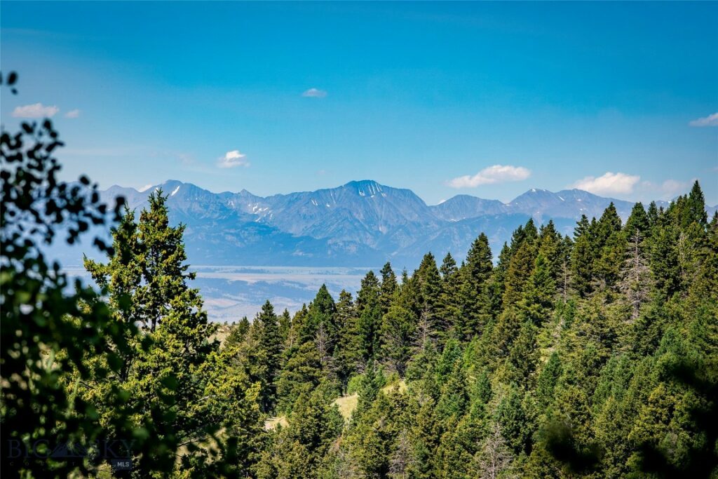 TBD Livingston Peak Road, Livingston MT 59047