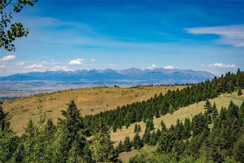 TBD Livingston Peak Road, Livingston MT 59047