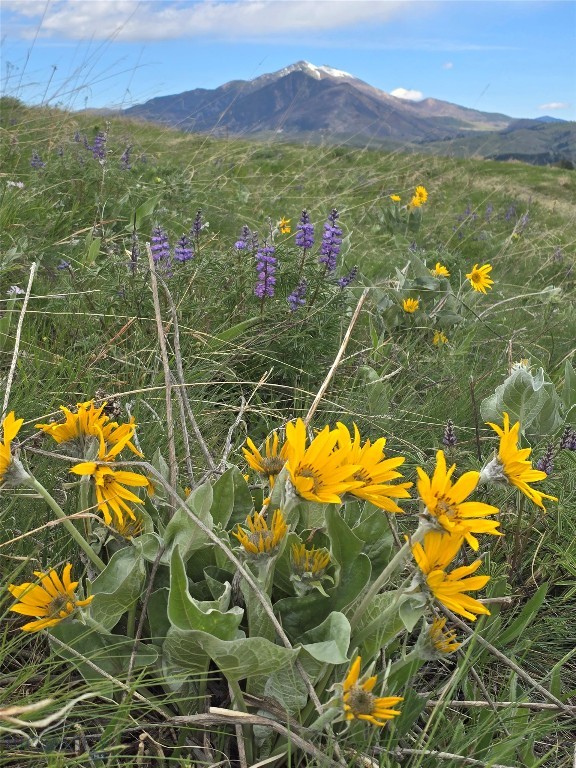 TBD Lot 18 Boreal Way, Bozeman MT 59718