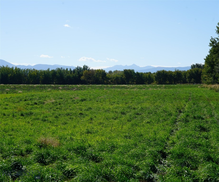 TBD Manley, Bozeman MT 59715