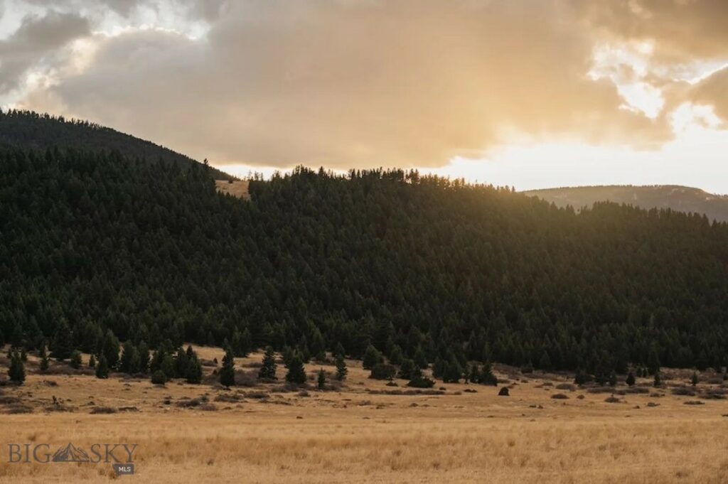 TBD Meyers Lane, Livingston MT 59047