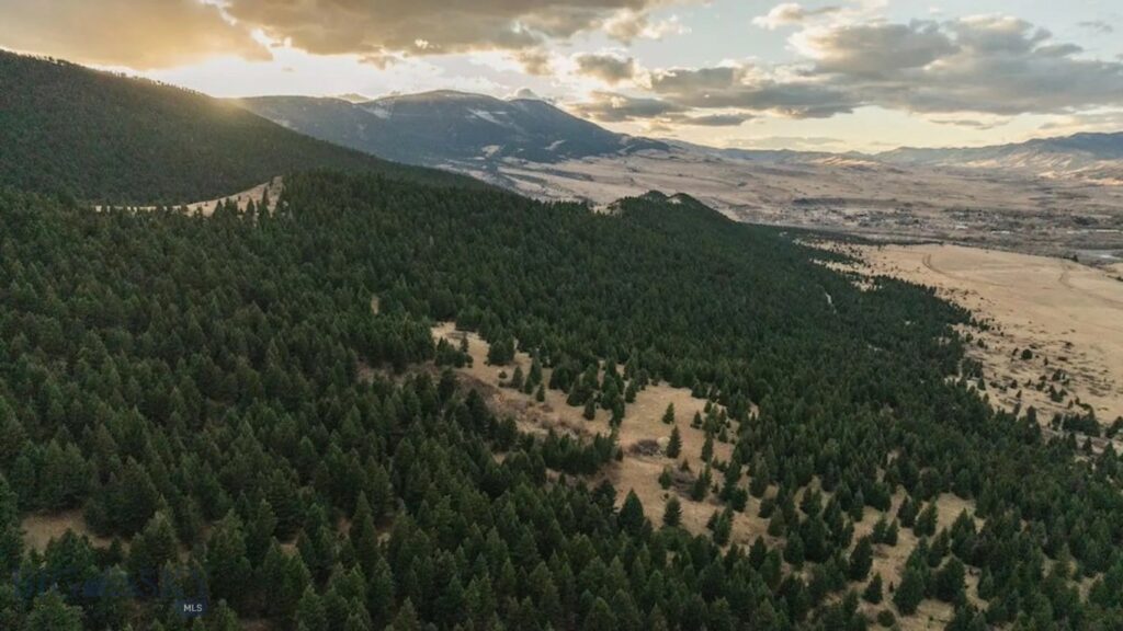 TBD Meyers Lane, Livingston MT 59047