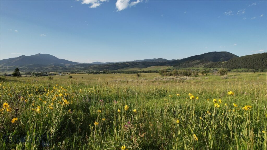 TBD Mount Ellis Lane, Bozeman MT 59715