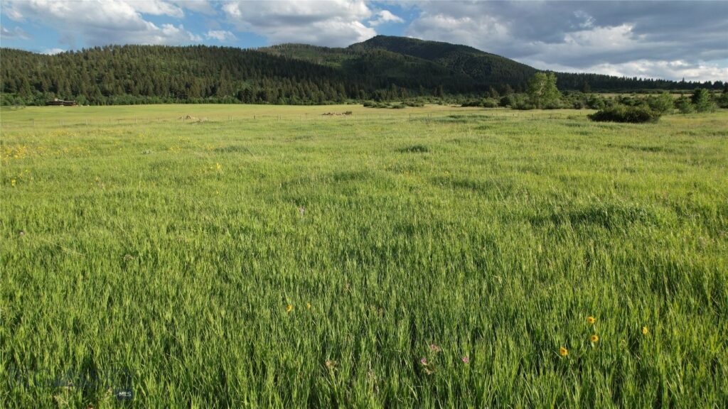 TBD Mount Ellis Lane, Bozeman MT 59715