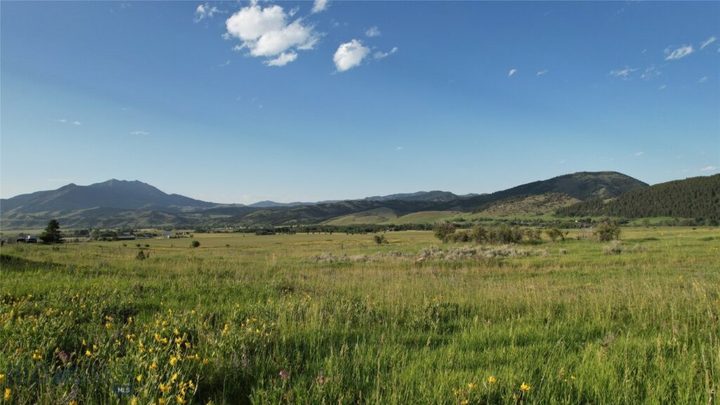 TBD Mount Ellis Lane, Bozeman MT 59715