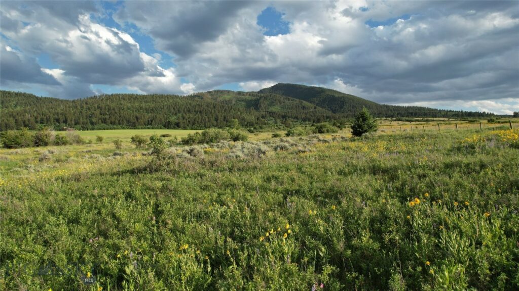 TBD Mount Ellis Lane, Bozeman MT 59715