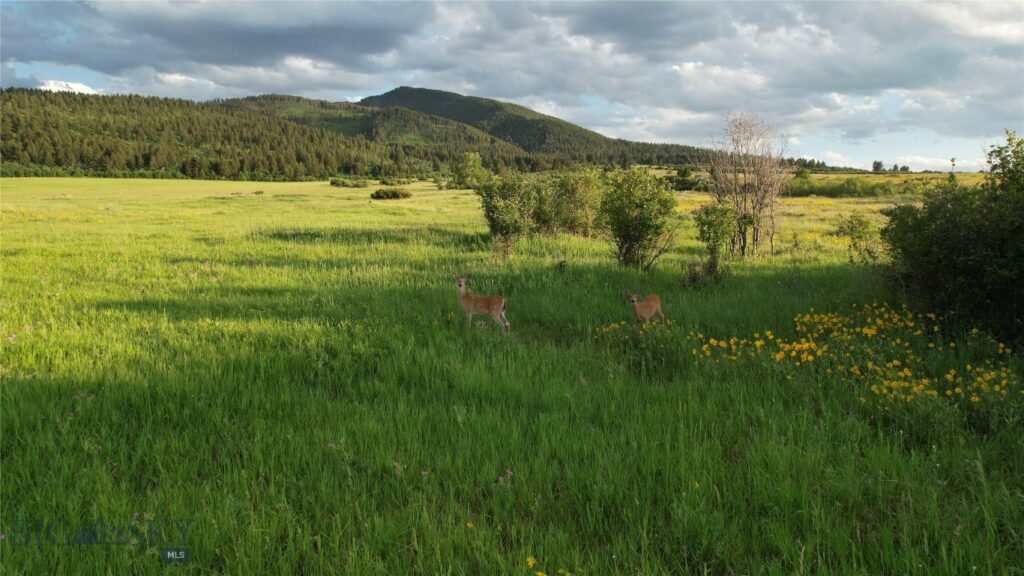 TBD Mount Ellis Lane, Bozeman MT 59715