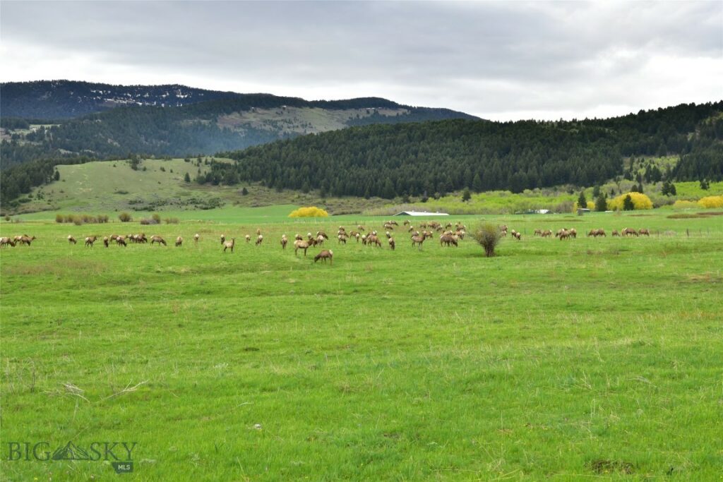 TBD Mount Ellis Lane, Bozeman MT 59715